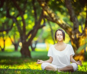世界杯比赛速递-门神的命运齿轮与东方铁骑的悄然重塑
